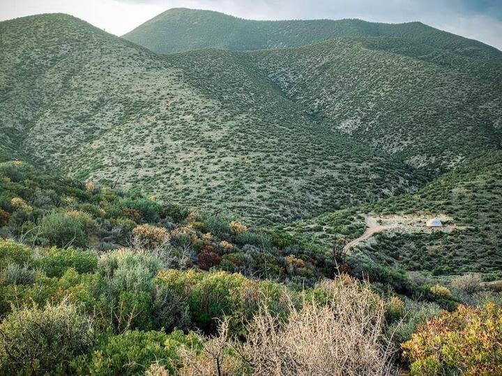 Sage Desert Dreams Mount Charleston Ngoại thất bức ảnh