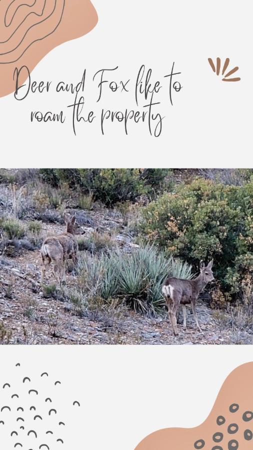 Sage Desert Dreams Mount Charleston Ngoại thất bức ảnh